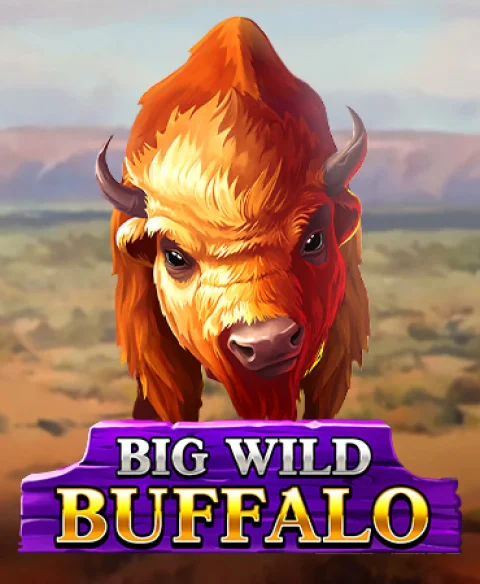 Play Big Wild Buffalo at 21 Prive Casino